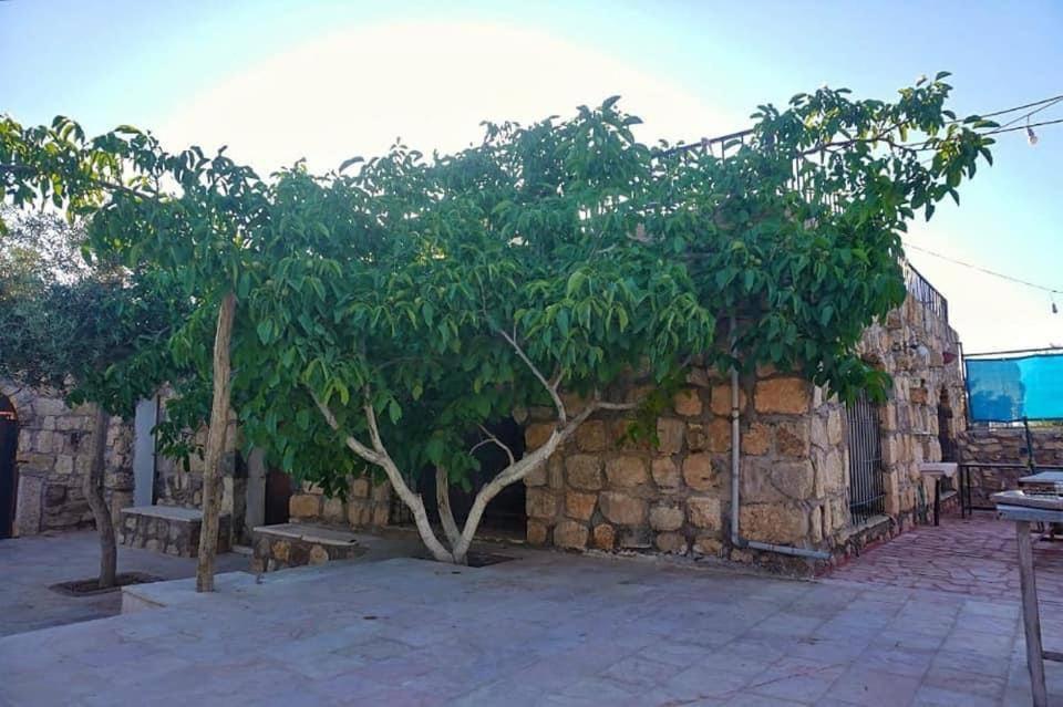 Heritige Inn Jordan Al-Qasr Ngoại thất bức ảnh